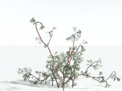 EVERYPlant Baiera 2 --14 Models-- 3D model