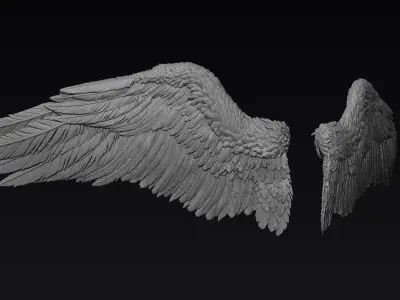 Wings Zbrush Sculpt 3D model