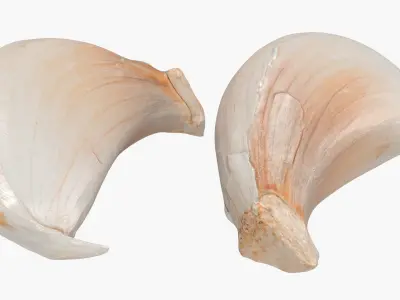 Garlic Clove Pile v2 3D model