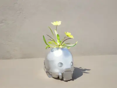 K2O pot Free 3D print model purchase