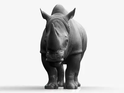 Rhino Sculpt 3D model