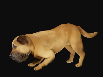 Mastiff dog Low-poly 3D model