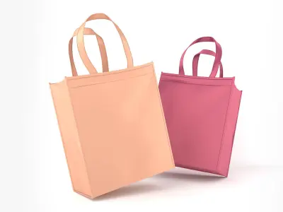 Eco Bag 3D model