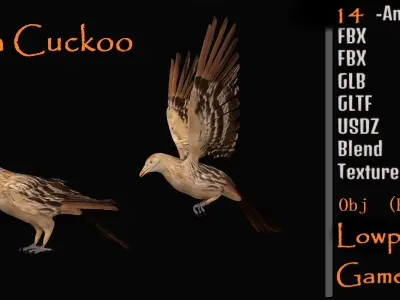 Guira Cuckoos Bird Low-poly 3D model