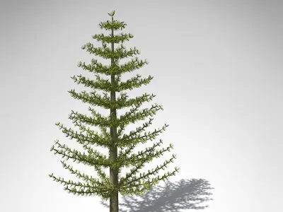 XfrogPlants Calamites 3D model