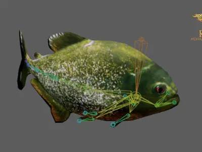 Animated Piranha Fish - Loop Animation with 1160 Frames Low-poly 3D model
