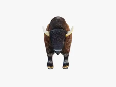 Bison Free 3D model
