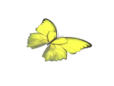 Butterfly v1 005 Low-poly 3D model