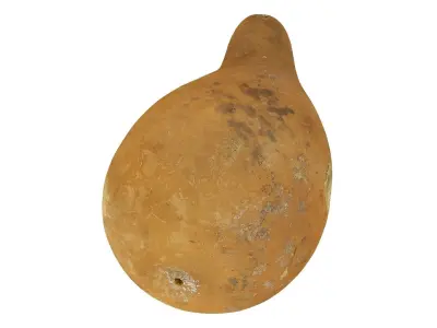 Gourd Birdhouse Raw Scanned 3D model