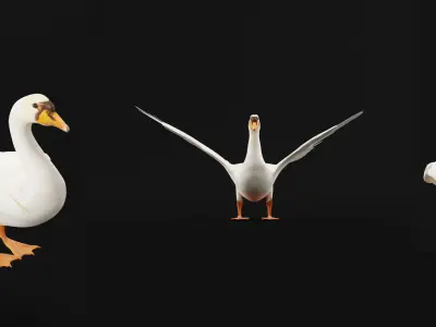 Mute Swan Bird Low-poly 3D model