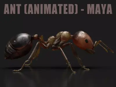 Ant ANIMATED 3D model