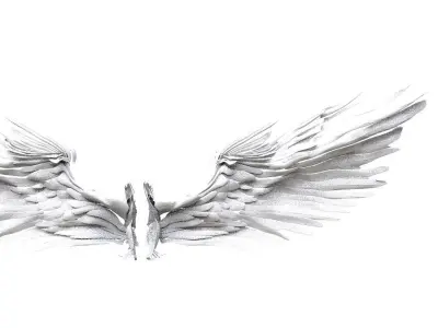 Angel and bird wings 3D model