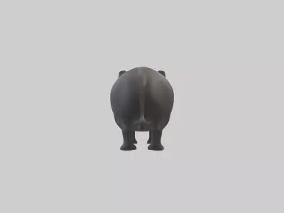 Brazilian Tapir resting model 3D model
