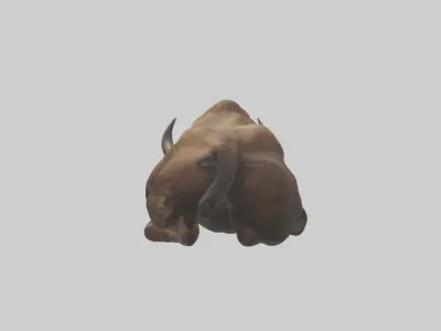 Lying Bison Model 1 Low-poly 3D model