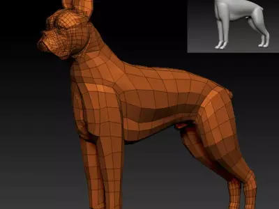 3D BOXER DOG Low-poly 3D model