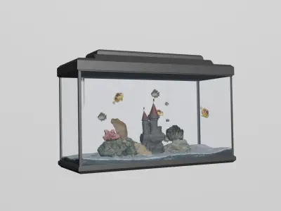 ready-made aquarium with fish 3D model
