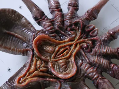 Alien Facehugger - 3D Asset Kit PBR Low-poly 3D model