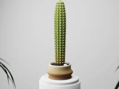 Realistic Cactus with pot ground and little stones included Free 3D model