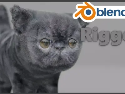 Exotic Shorthair Free 3D model