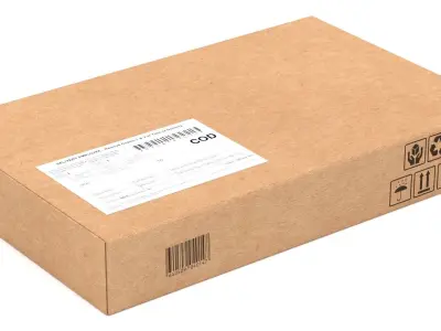 Cardboard Packaging Box 01 3D model