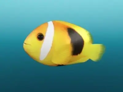 Tropical Fish 3D model