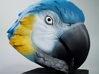 Parrots Free 3D print model