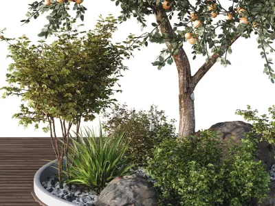 HQ Tree and bush garden box outdoor VOL 01 Free 3D model