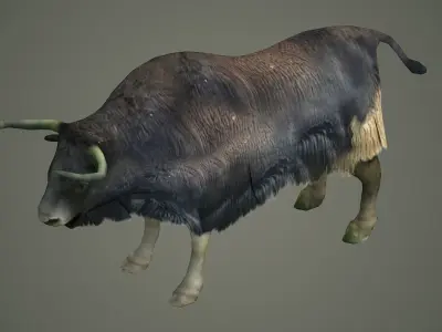 animals mammal animation nature wild ox yak domestic yak 3D model