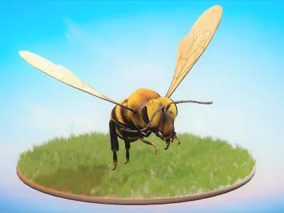 Honey Bee Animated Rigged  Low-poly 3D model