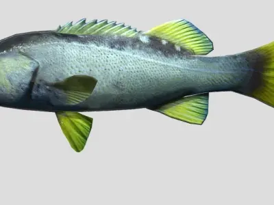 Rockfish Realistic Animated Low-poly 3D model