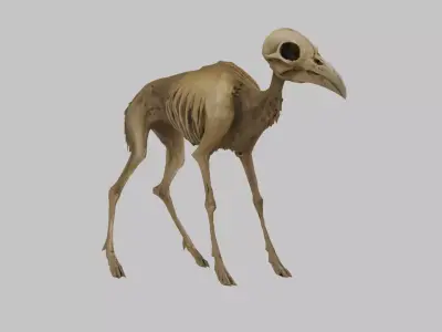 3D Model of a Stylized Deer Skeleton Low-poly 3D model