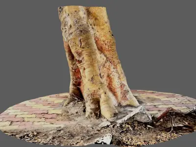 Tree Trunk 2 for 3d Model - 3d Scan 3D model