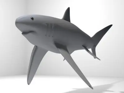 Shark - Fox 3D model