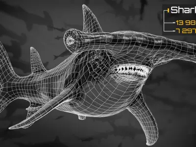 Hammerhead Shark - Ocean Predator - Underwater Creature - 29 Low-poly 3D model