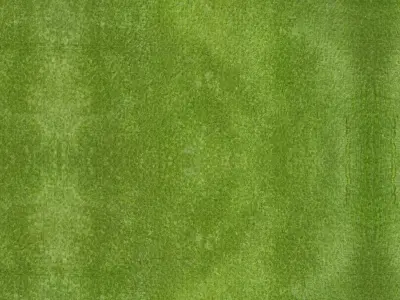 3D Utricularia model branch of plant Low-poly 3D model