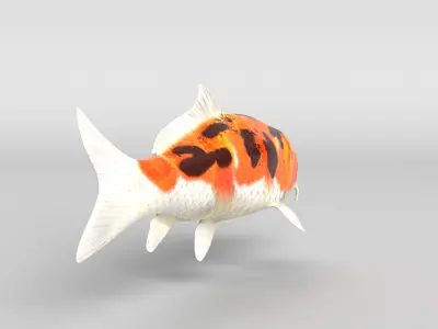 Koi Fish Low-poly 3D model