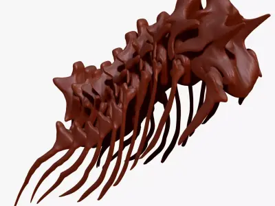 TRex Neck Set Skeletons 3D model