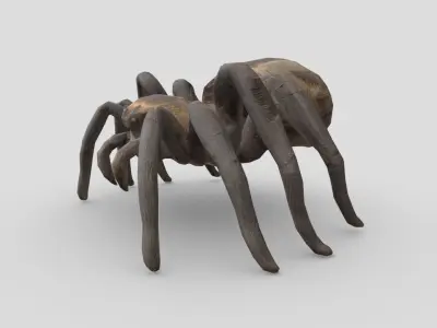 Tarantula Low-poly 3D model