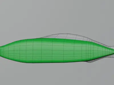 Haikouichthys Extinct Cambrian Fish Free low-poly 3D model