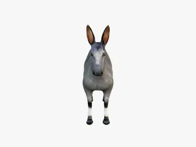 Donkey Free 3D model