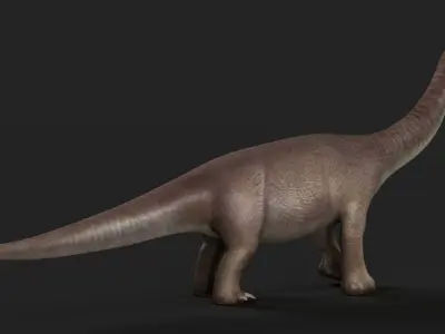 reptile cretaceous jurassic park trex rex dinosaur  3D model