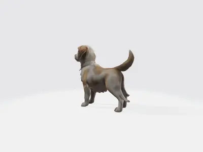 Realistic Dog Animated and Rigged 3D model