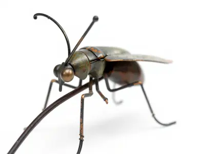 Mechanical Insect Model Pack with Textured Metallic Surface Low-poly 3D model