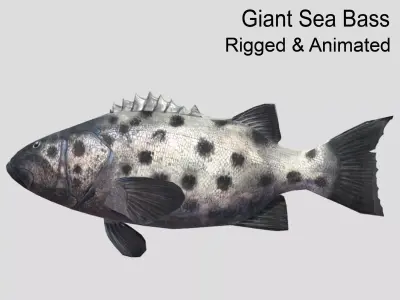 Giant Sea Bass  Realistic Animated Low-poly 3D model