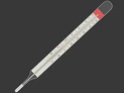 Medical Mercury Thermometer 3D model