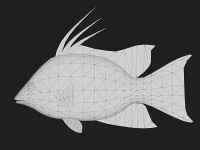 Hogfish Low-poly 3D model