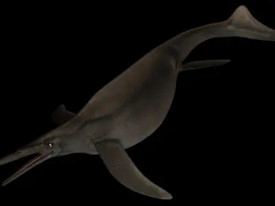 Shonisaurus Asset Pack Low-poly 3D model