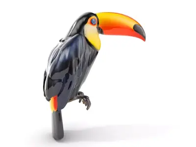 Tropical Toucan Bird D Model Pack Low-poly 3D model