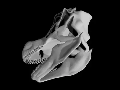 Brachiosaurus skull Low-poly 3D model