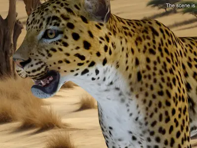Leopard Rigged 3D model purchase